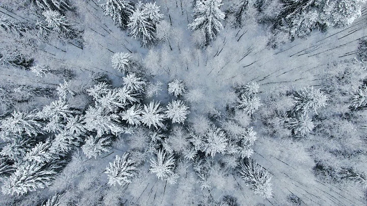 Imeline talv linnulennult |       | Fantastic winter from above