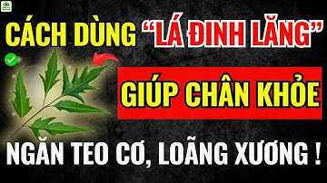 Cách Dùng Lá Đinh Lăng: Giúp Chân Khỏe Tới 90, Ngừa Teo Cơ, Sống Thọ Bất Ngờ! |Sức Khỏe Tuổi Già