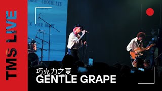 Gentle Grape - 巧克力之夏 | TMS Live Shanghai (Concert in China)