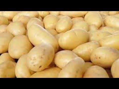 Vídeo: Por que as batatas sonham em um sonho