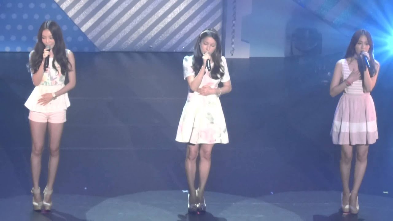 20140601 KARA fanmeeting IMA OKURITAI ARIGATOU at BUDOKAN