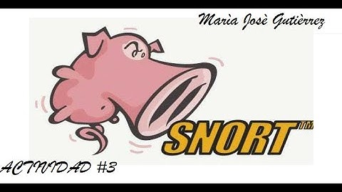 IDS implementado con SNORT