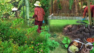 Natural vegetable farming | Heavy rain in the village, grow vegetable, Duck care, Grilled chicken
