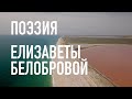 #КрымНеОчевидный: Тебе Крым. Поэзия Елизаветы Белобровой - На берегу чужего океана...