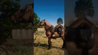 POTRO DE FRISON CAFE 🐎 #caballos #amoaloscaballos #rdr2 #reddeadredemption2 #vaqueros