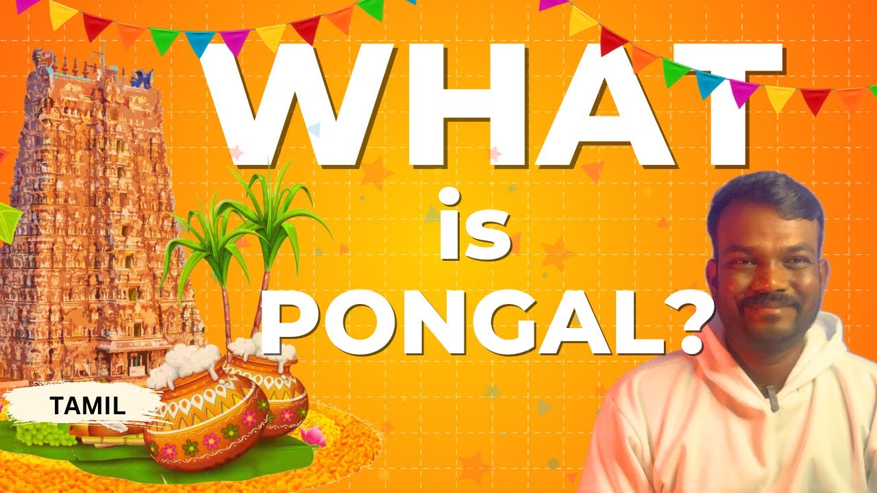 பொங்கல் 🔥 ஏன் கொண்டாடுறாங்க, எப்படி கொண்டுவாங்க What is Pongal kodi cuts #pongal #pongal2024 #tamil