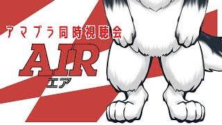 【S2第19回】みんなで犬と映画見ようぜー！【AIR 同時視聴会】