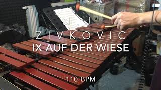 N.J. Zivkovic - IX Auf der Wiese Xylophone (My First Book for Xylophone and Marimba)