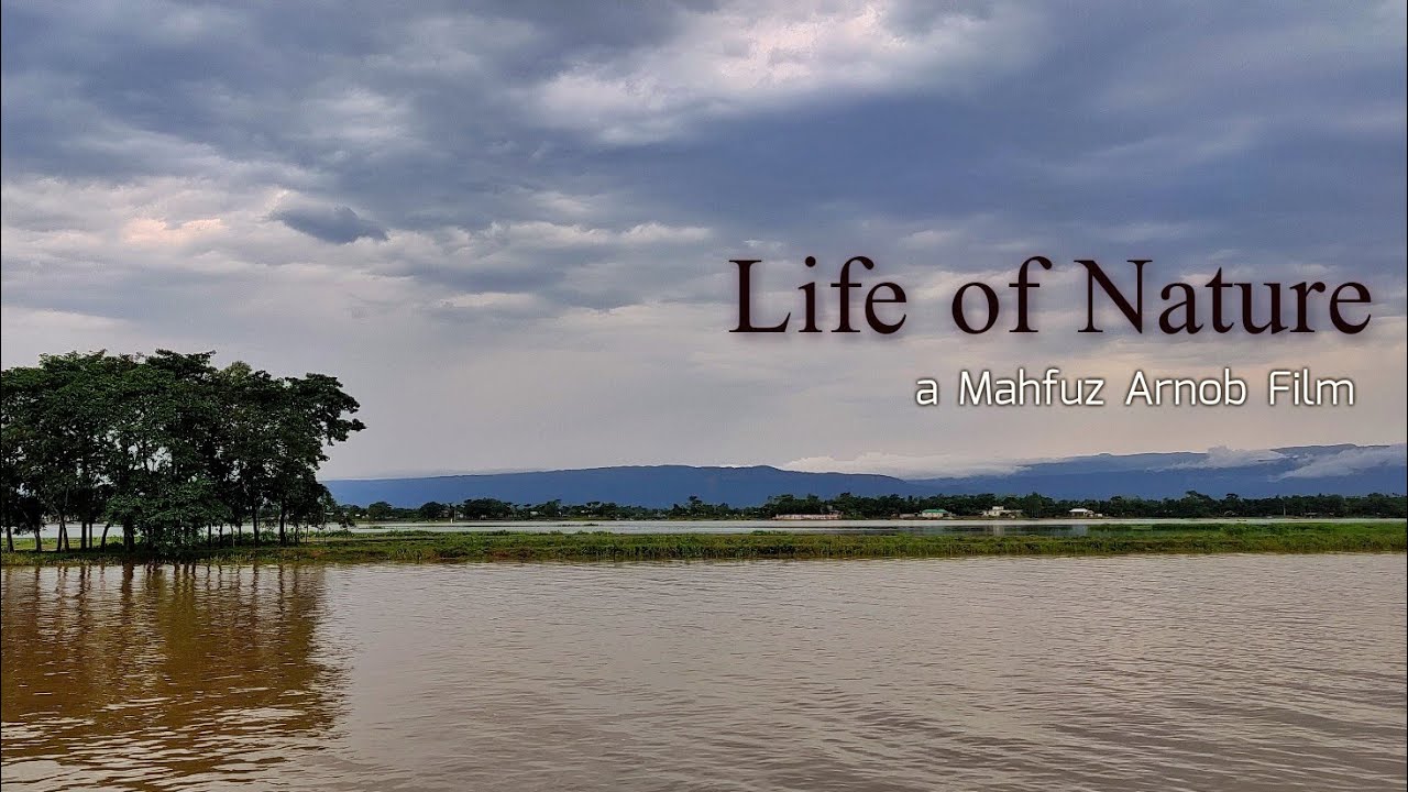 Life of Nature | a Mahfuz Arnob Film