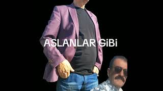 Mehmet İpek Aslanlar Gibi