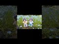 #しょーたんぬい #蒼井翔太 #七海ひろき #METEORA #砂漠の花 #ネモフィラ