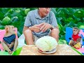 Sam boy & Asher Jr enjoying giant cabbage