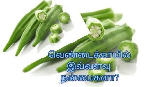 வெண்டைக்காயில் இவ்வளவு நன்மைகளா?
