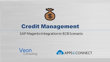 Credit Management for SAP Magento Integration