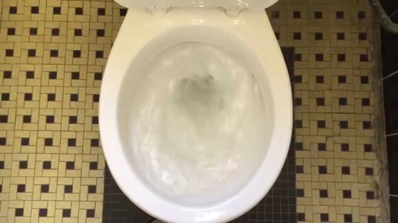 382. A CraneMiser Toilet and Another Crane Toilet. YouTube