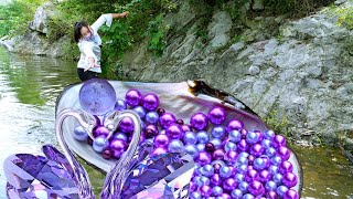 🎁I found giant clams by the river, filled with precious purple pearls, which gave me immense wealth