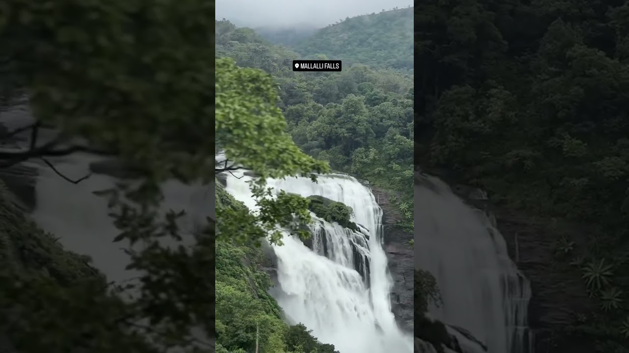 Mallalli falls 💚