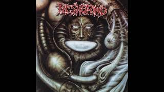 Watch Fleshgrind Burning Your World video