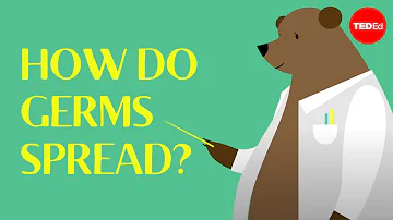 Do germs make you sick yes or no?