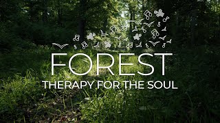 Forest Therapy for the Soul: Find Peace with Gentle Birdsong