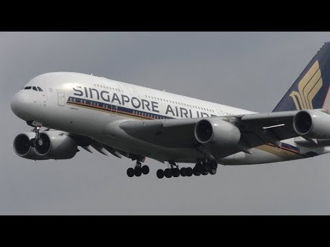 Singapore Airlines Airbus A380 9V-SKL -  Landing at Frankfurt Am Main Airport (FRA/EDDF)