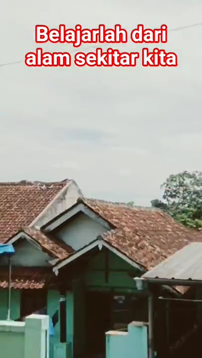 wise words full of meaning #motivationalwords #motivationalwordsofheart