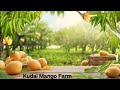 Mera first Vlog hai 😄| Please Bhai Bandu Support Kare 🙏🏿| @HarshKalwarsVlog #vlog #trending #youtube