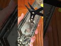 The process of replacing the door lock is very simple. #tips #lifetips #tricks #shorts