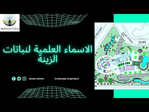 فيديو: أسماء النباتات اللاتينية - لماذا نستخدم الأسماء اللاتينية للنباتات