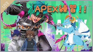 【APEX/新人Vtuber】いつメンでAPEX練習配信！！！Withノア＆ごｋ…エングー！！！ #2