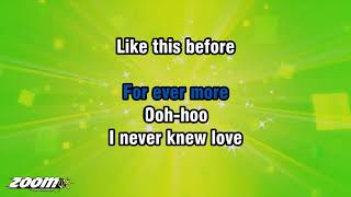 Stephanie Mills - Never Knew Love Like This Before - Karaoke Version from Zoom Karaoke Resimi