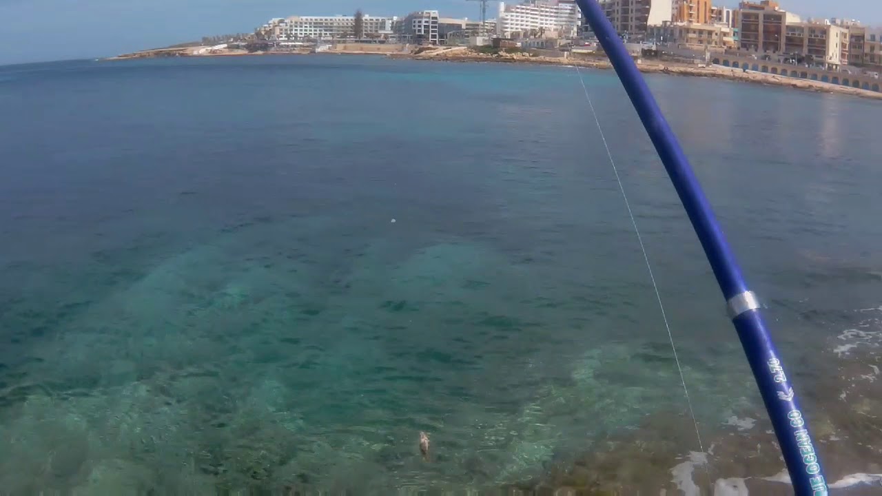 Malta march fishing YouTube