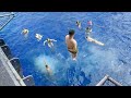 Sailors Perform Crazy Jumps From US Aircraft Carrier in Middle of the Ocean