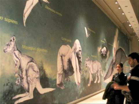 Palazzo delle Esposizioni - Mostra Darwin e National Geographic 2009