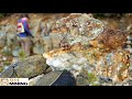 Removing barren quartz to find rich gold ore