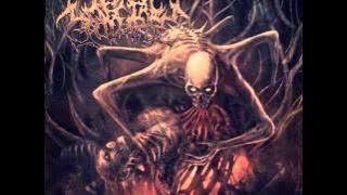 Death Metal Compilation Part 1