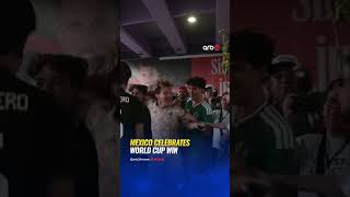 Fans flood Mexico City streets after El Tri win opening World Cup match vs South Africa