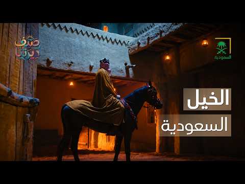 Our Homeland | Saudi Horses.. A Symbol of Authenticity and Pride 🐎
