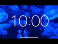 10 minute timer  relaxing music