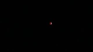 Blood Moon Eclipse 11/8/2022 @ 5AM Eastern Time USA