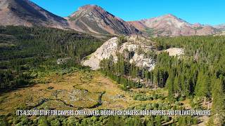 DIY Fly Fishing California Trout Route #1: Hwys 108, 120, and 395 (Part 1)