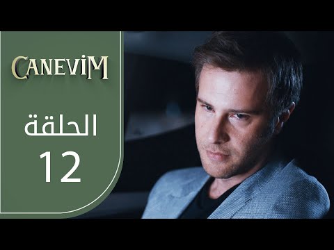 قلبي الحلقة 12  عربي 