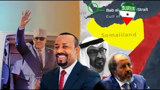 Deg Deg Safarka Cirro Ee Itoobiya, Walaaca Diblomaasiyiinta Gobolka & Isbadalka Jira