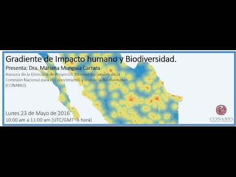 Vídeo: Una Mayor Especiación Y Menores Tasas De Extinción Influyen En Los Gradientes De Diversidad De Mamíferos En Asia