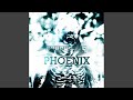 Phoenix (Radio Mix)