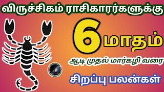 விருச்சிகம் ராசிகாரர்களுக்கு 6 மாதம் சிறப்பு ராசி பலன் | Viruchigam Rasi Palan