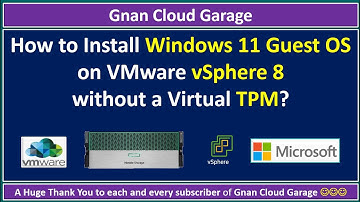 How to Install Windows 11 Guest OS on VMware vSphere 8 without a Virtual TPM 2.0?