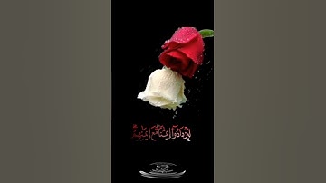 صباح الخير🌹حالات واتس اب مقاطع قصيره🌹 قران سورة الفتح هو الذي انزل السكينةعبد الرحمن مسعد🌹بدون حقوق