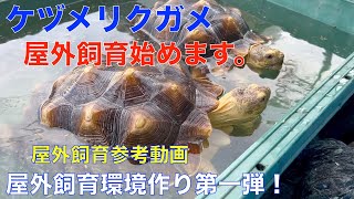 ケヅメリクガメ屋外飼育建設パート１（屋外飼育場の作り方）参考動画　格安で屋外飼育場を作りました。