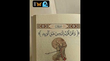 #quranالقارئ )(حمزة بودیب